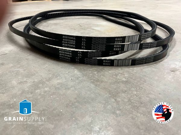 Belts - Image 2